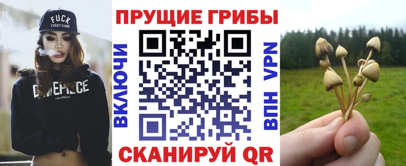 Псилоцибиновые грибы мицелий  Кандалакша 